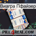 Виагра Пфайзер kamagra1